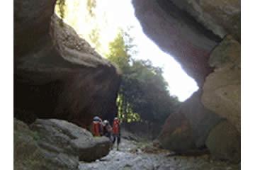Imagen CUEVA CABRITO