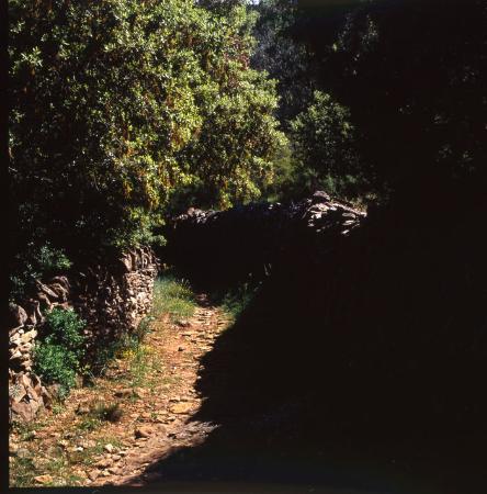 Imagen Ruta Tozal de Guara