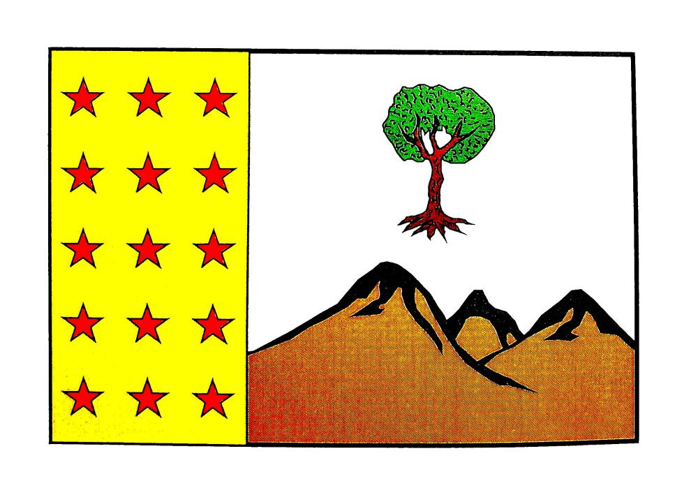 Imagen: Bandera de Bierge.